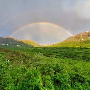 Meet your Posher, sheyanne
